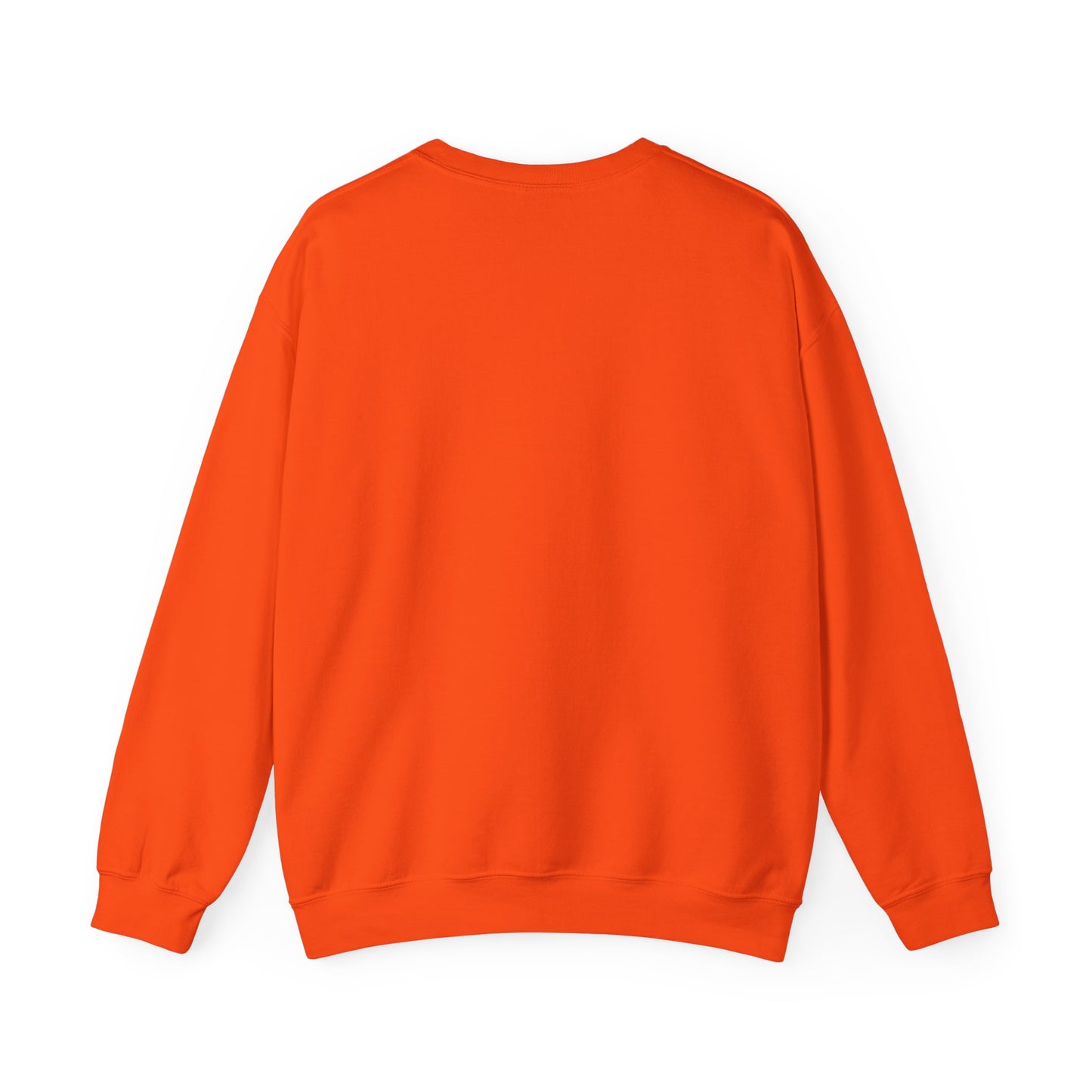DFB Sweatshirt