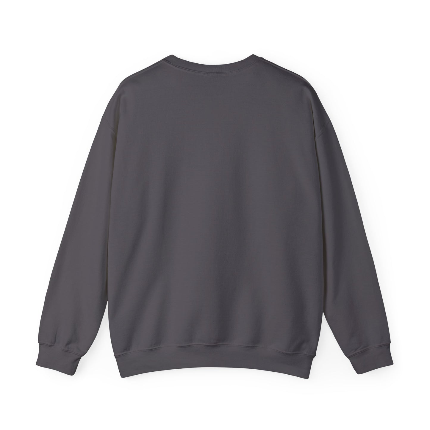 DFB Sweatshirt